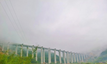 賀州至巴馬高速公路（昭平至蒙山段）佛登口2號(hào)高架大橋
